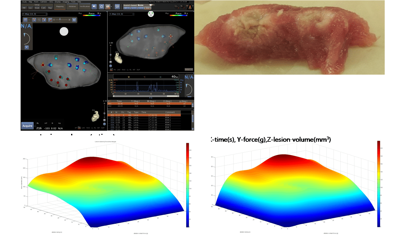 Figure 1. Ablation lesion formation according to time and force