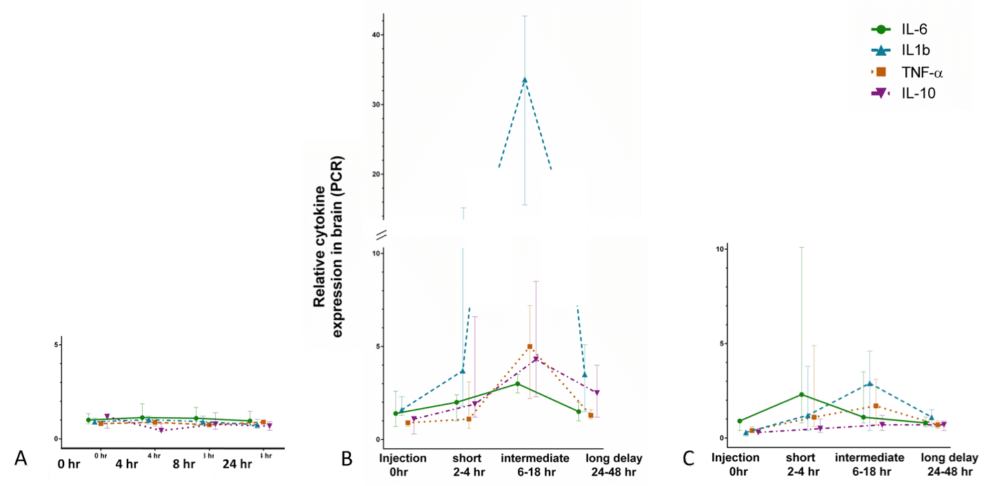 Fig 2 Cytokine expression changes in brain after an i.p. injection of vehicle (A), PAM (B) or LPS (C)