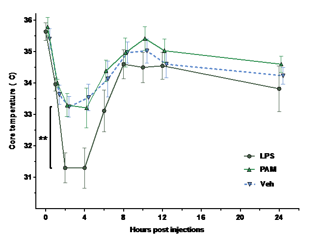 Fig 1 Core temperature after an i.p. injection of LPS, PAM or Vehicle