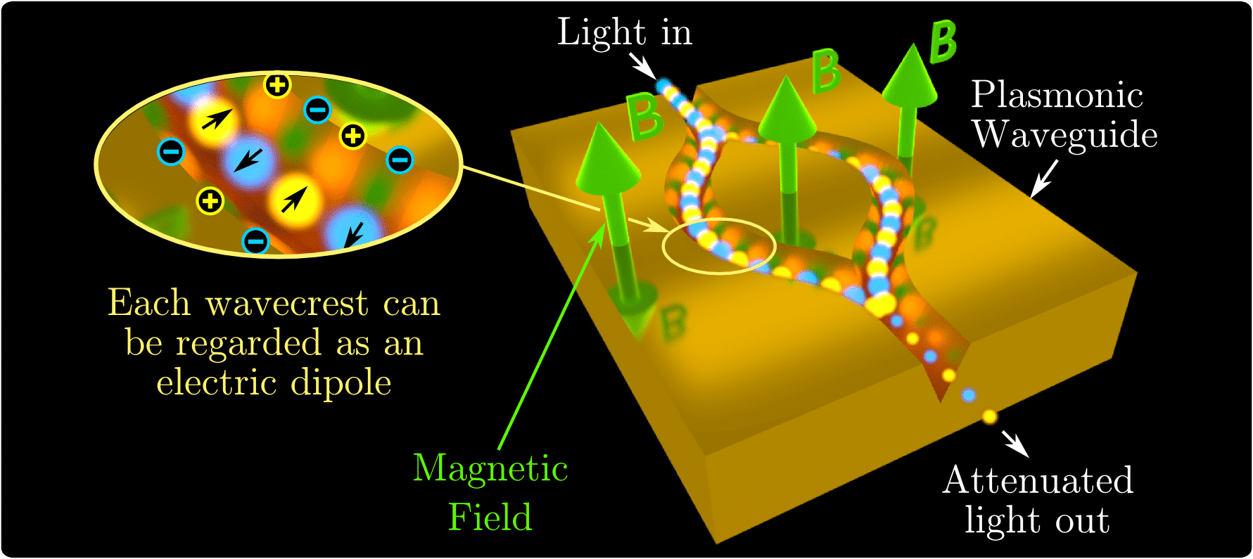 The proposed plasmonic version of the HMW effect. Light is launched into the V-groove plasmonic interferometer. The propagating plasmons induce co-propagating charge density that can be viewed as anti-aligned propagating electric dipoles. Applying magnetic field perpendicular to waveguide plane should lead to the HMW effect affecting the phase of the plasmons, leading to the suppression/enhancement of the propagating plasmon wave.