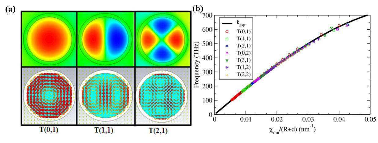 Fig. 1. (a) Near field pattern of the toroid-like cavity modes in CSND, the upper panels show the out-of-plane electric field and the lower panels show the in-plane magnetic fields. (b) The resonance frequencies (symbols) of the CSND all fall on the dispersion curve (solid line) of gap surface plasmon wave,  is the  th zero point of the  th Bessel function,  the radius and the thickness of dielectric layer. Fig. 1. (a) Near field pattern of the toroid-like cavity modes in CSND, the upper panels show the out-of-plane electric field and the lower panels show the in-plane magnetic fields. (b) The resonance frequencies (symbols) of the CSND all fall on the dispersion curve (solid line) of gap surface plasmon wave,  is the  th zero point of the  th Bessel function,  the radius and the thickness of dielectric layer. 