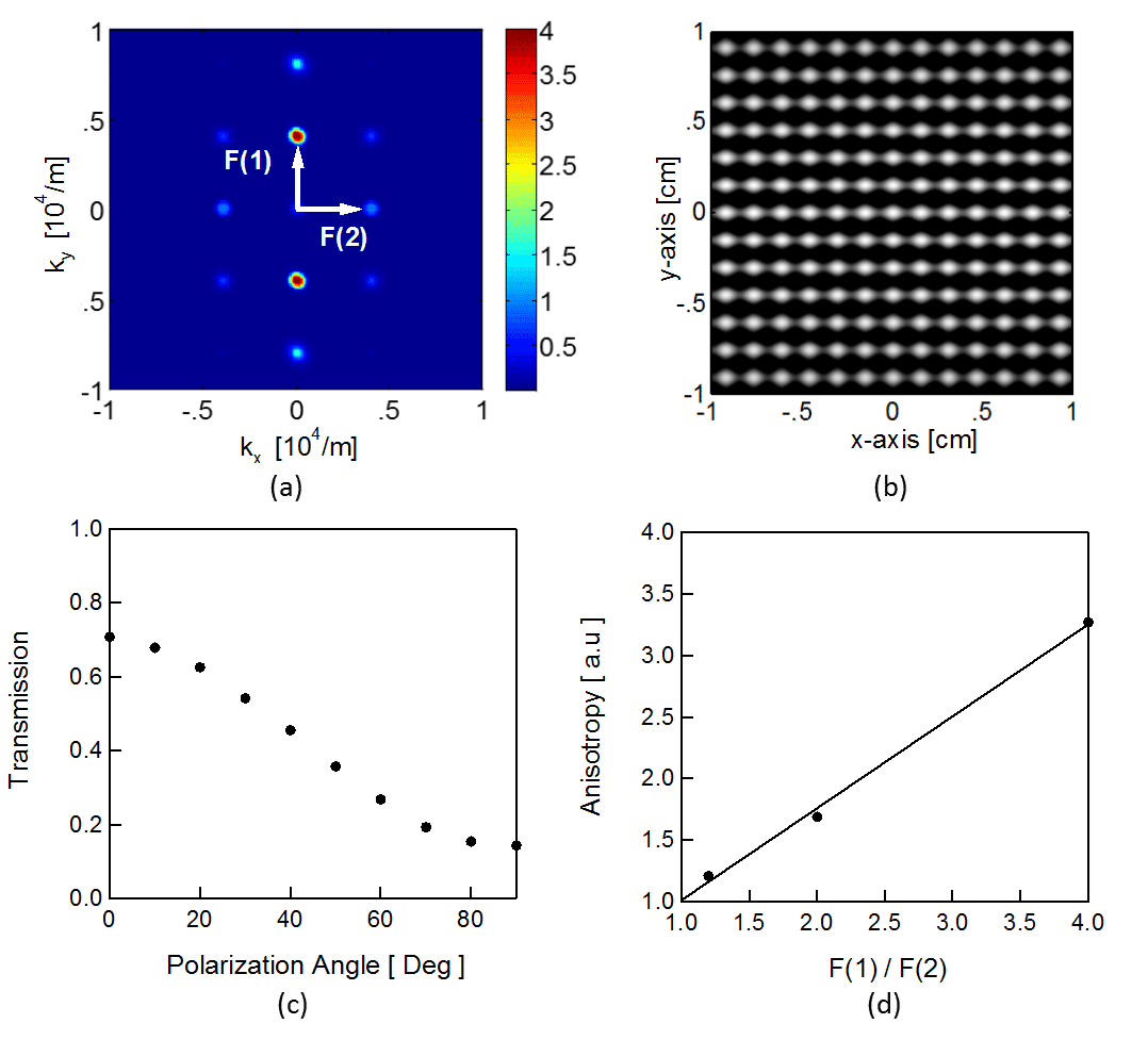 Figure 1: K-Space Designed Anisotropic Filter