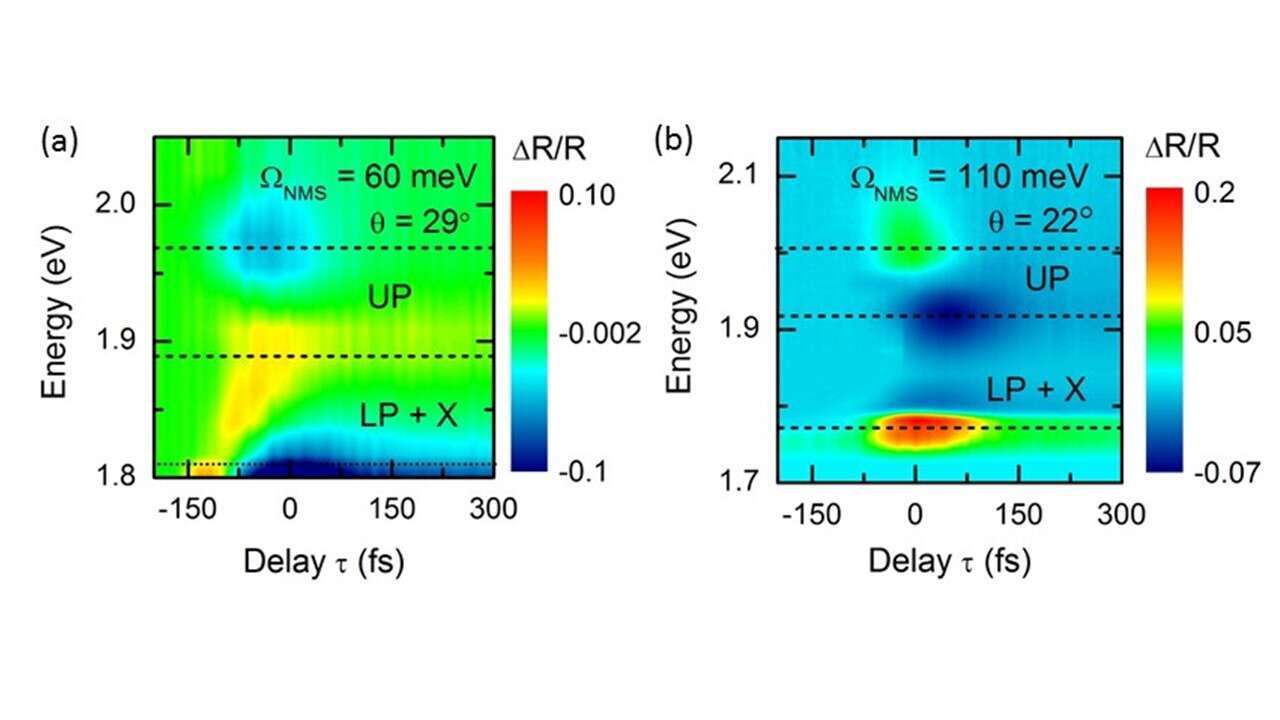 Differential reflectivity maps of hybrid nanostructures showing OSE