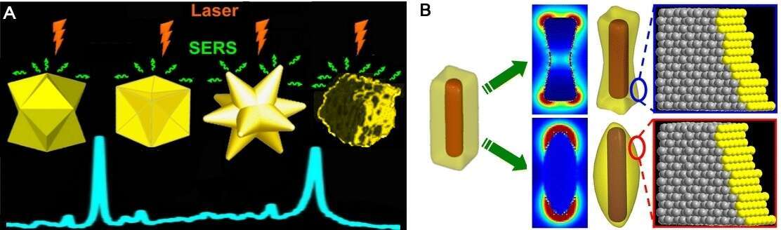 Figure: (A) Tipped AuNPs for spSERS: trisoctahedron, concaved nanocube, nanostar, and porous AuNPs. (B) Etching pattern of the nanocuboids: nanodumbell and nanorice.