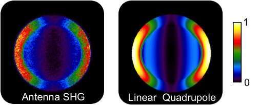 Figure 1. Experimental measurements demonstrating the quadrupolar nature of the SHG from a single dipole antenna.