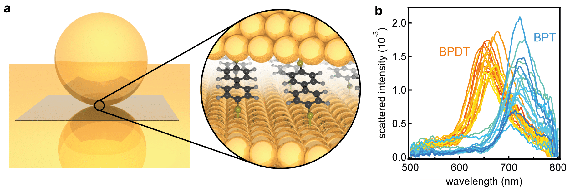 a Geometry utilised: a gold nanoparticle is placed on a gold mirror separated only by a thin self assembled molecular monolayer. b Scattering spectra of individual gold nanoparticles on conductive and non-conductive spacer layers differing by 1 atom.