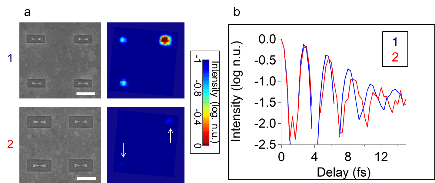 Time-resolved PEEM measurements on gold bowtie nanoantennas. 