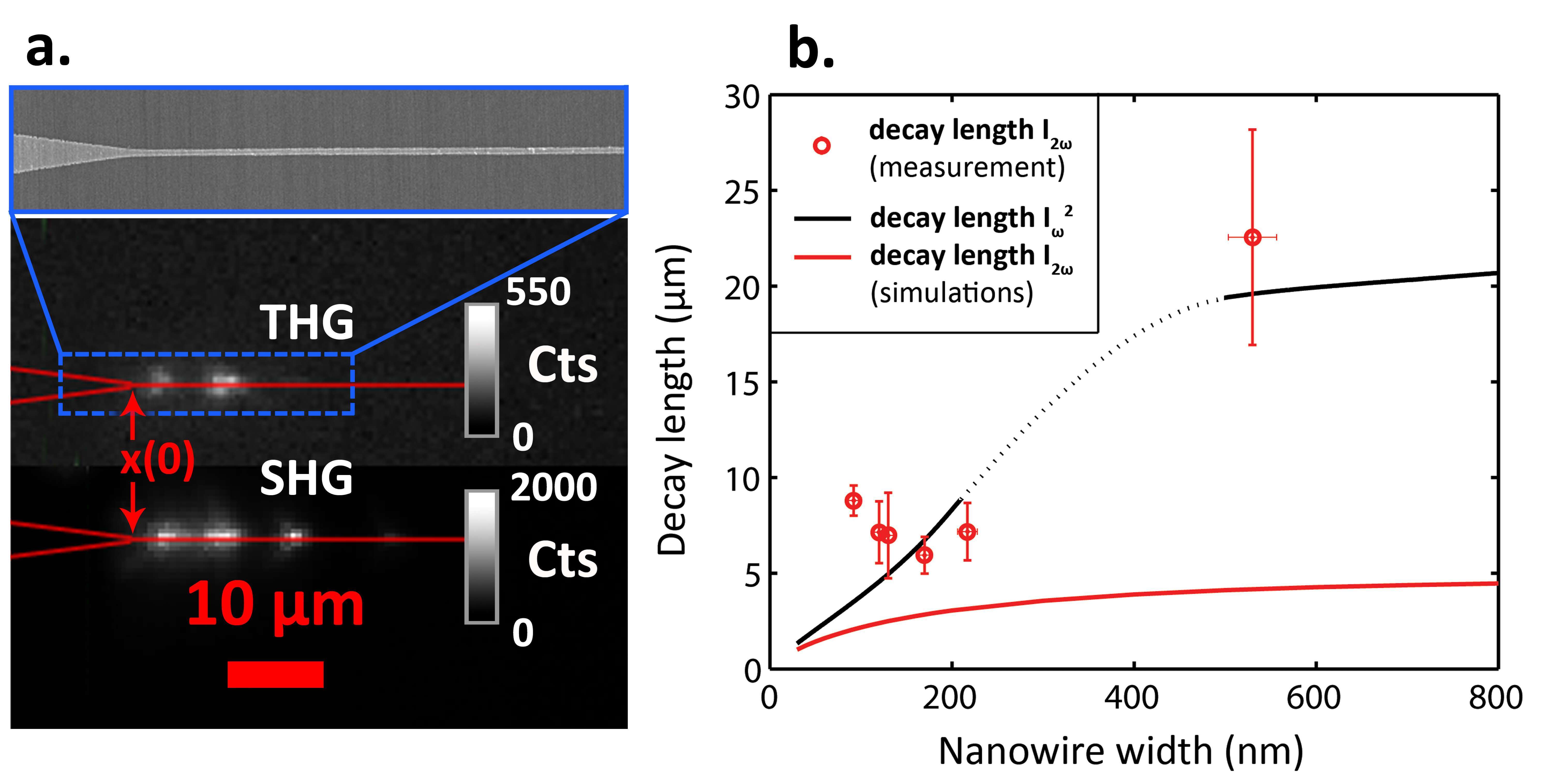 Top view of the 775 nm (SHG) and 517 nm (THG) signal in counts per 5 minutes on a nanowire (height 50 nm, width 230 nm) on the CCD camera with a red overlay showing the taper and wire to guide the eye. The blue rectangle shows a scanning micrograph of a typical nanowire b. The decay lengths of second harmonics and the fundamental from derived from CCD images (example shown under a.) and simulations.