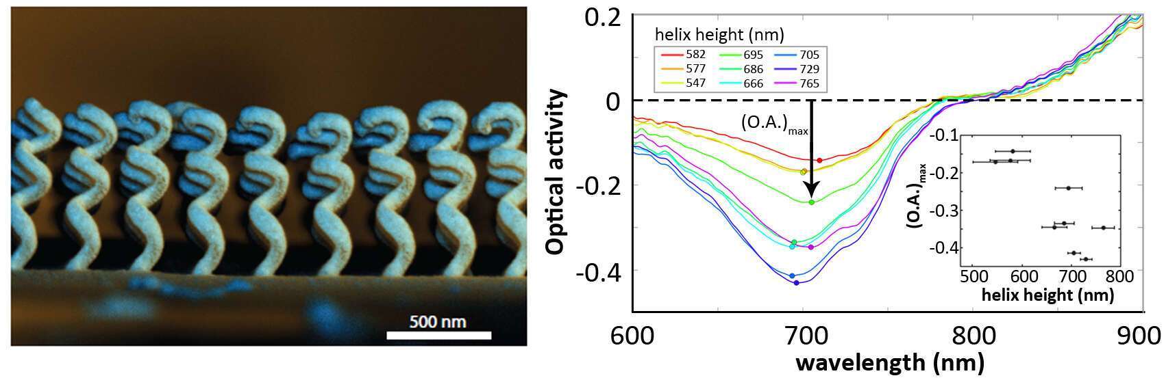 Fig. 1.a. Scanning electron micrograph showing the side view of an array of core-shell nanohelices, where blue and brown represent the Au shell and the SiO2 core respectively. b. Optical activity as a function of wavelength for 9 different helix heights, where each helix height is represented by differently colored solid lines. For each curve, the minimum value in the dip is defined from zero down, resulting in nine different values of (O.A.)max. The inset shows the maximum optical activity as a function of helix height. 