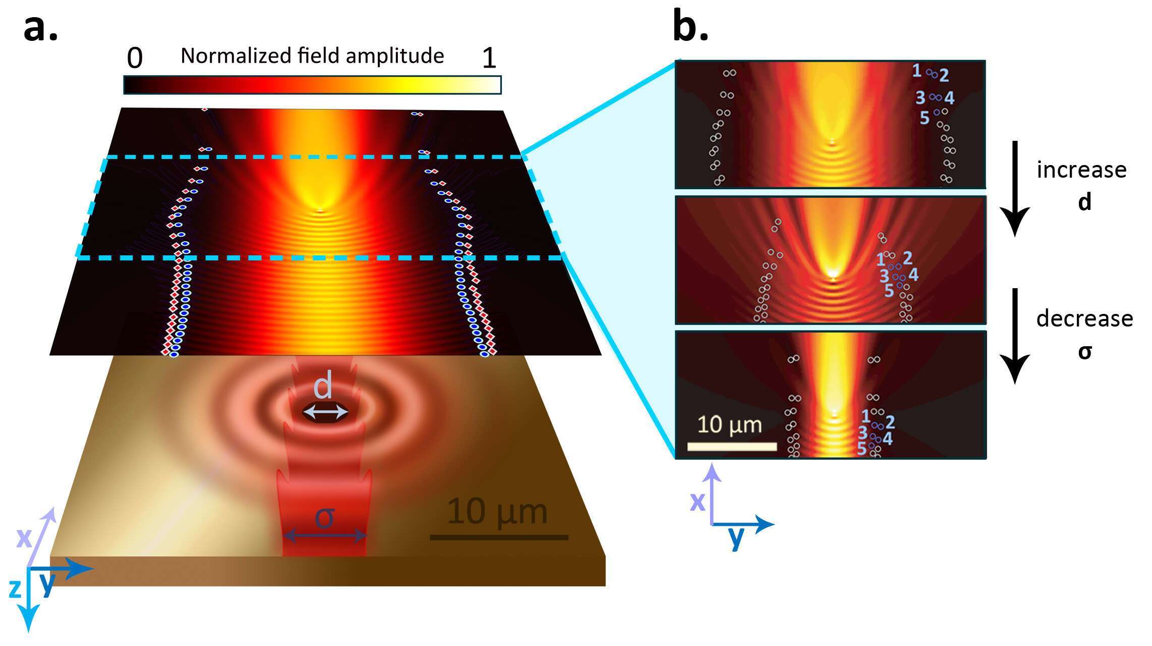 a. Schematic of a SPP scattering off a subwavelength hole in an optically thick gold film. The total field is a superposition of the incident Gaussian SPP beam and the field scattered by the hole. On top the calculated amplitude map of the in-plane electric field for σ=5 μm SPP beam scattering from a hole with diameter d = 800 nm. Polarization singularities with a topological charge of 1/2 (-1/2) are marked in solid red diamonds (blue circles). b. We can control the position of the singularities by changing the hole size or beam diameter. 