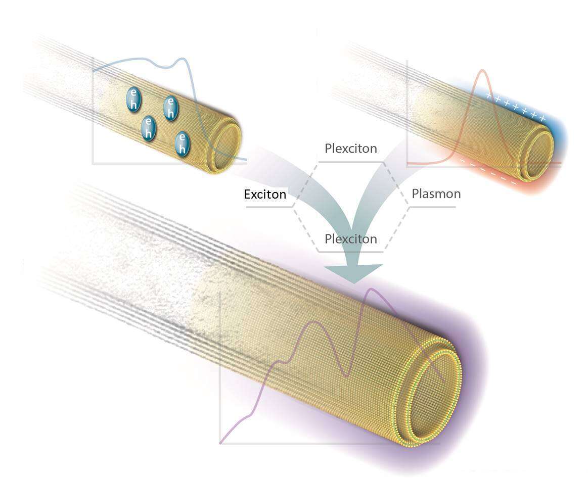Representation of hybridization between exciton and plasmon in WS2 nanotubes