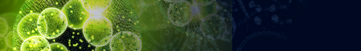 ISM Annual Conference 2025