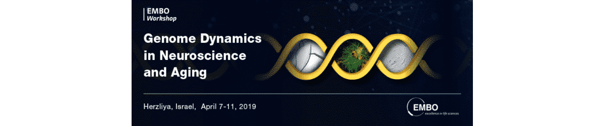 Genome Dynamics in Neuroscience and Aging