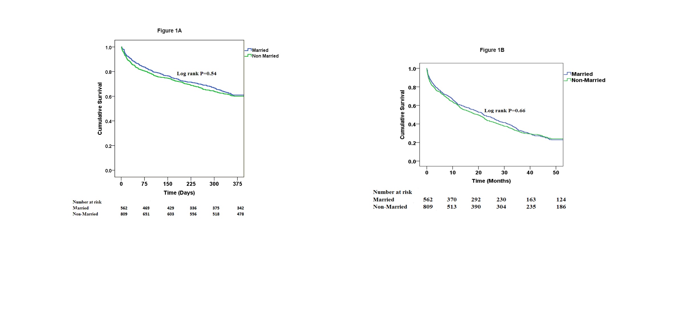kapla meier survival curves
