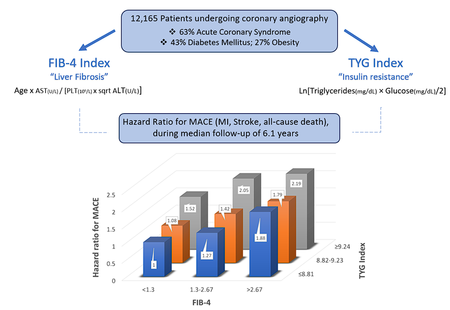 Graphical Abstract