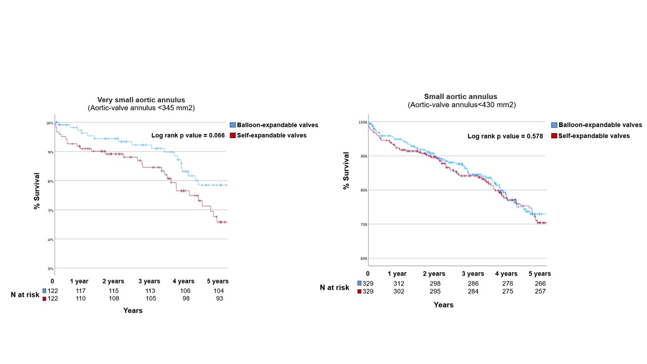 Kaplan-Meier survival curves at 5 years according to aortic annulus size