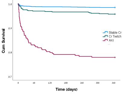 Kaplan Meier analysis for survival divided by creatinine groups.