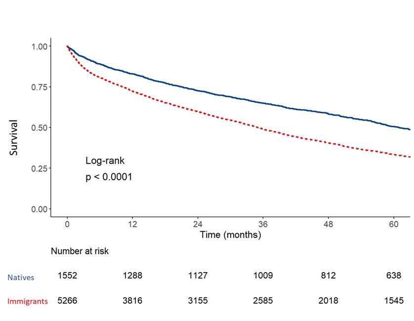 Kaplan–Meier survival estimates for patients admitted for acute decompensated heart failure stratified by immigration status