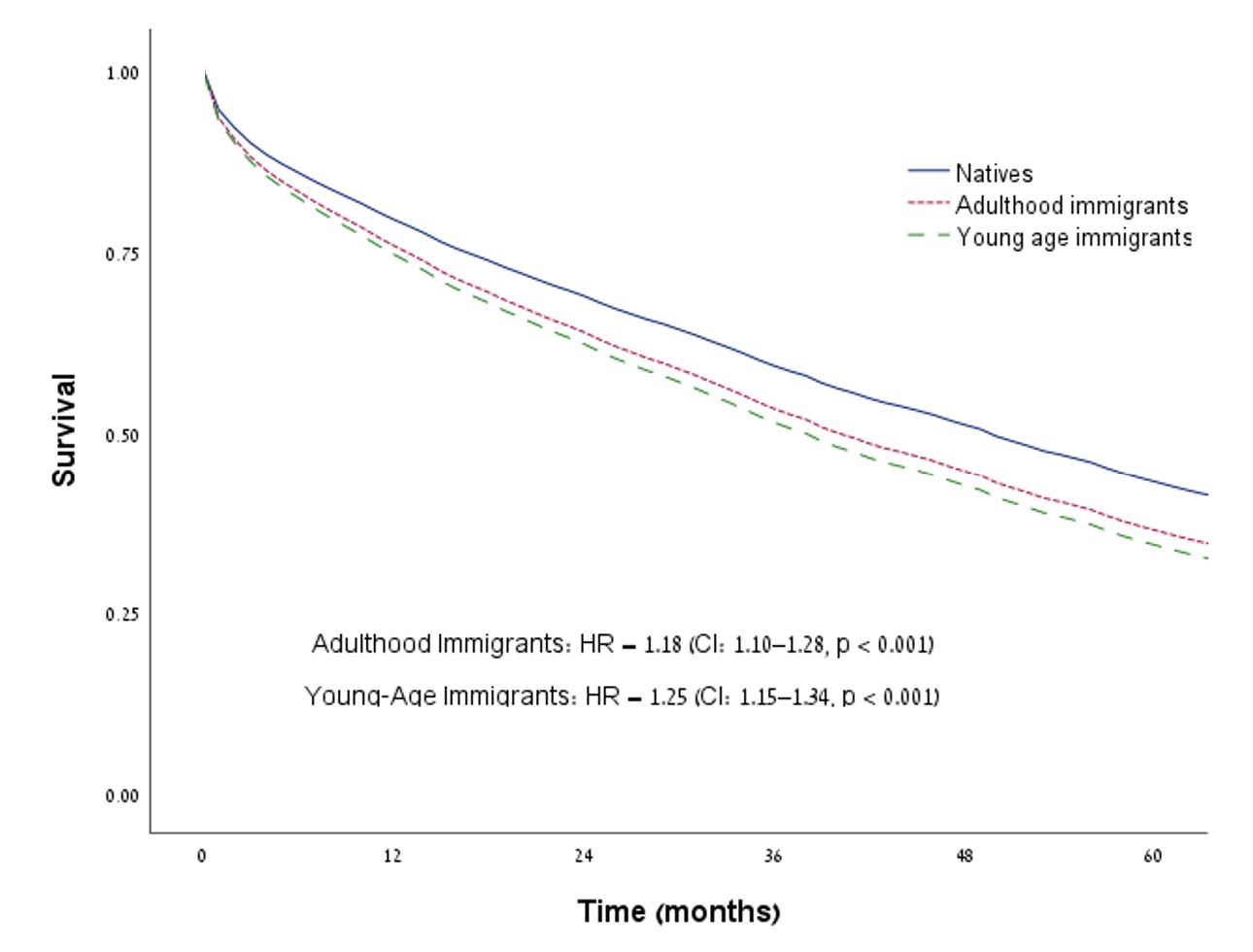 Adjusted (by multivariable cox regression) survival estimates for patients admitted for acute decompensated heart failure stratified by immigration status and age of immigration