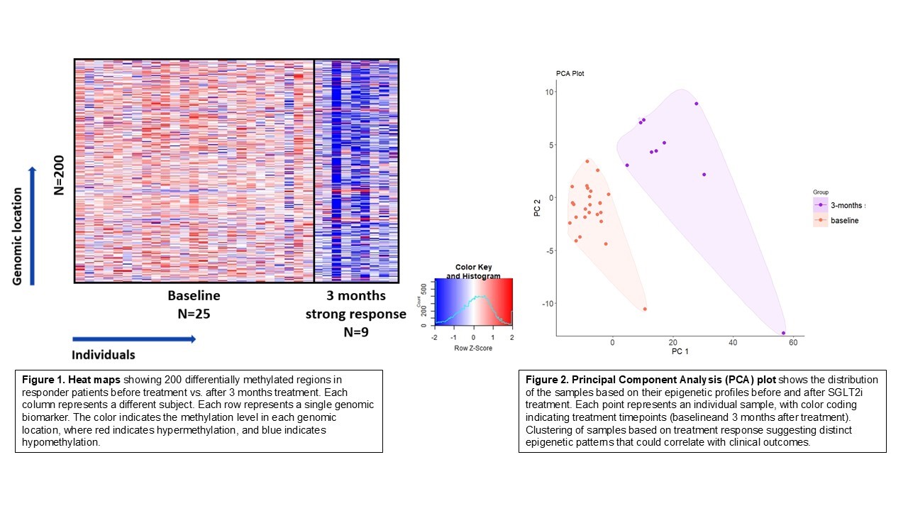 Top 200 differential methylation markers identified in cfDNA samples before and after 3 months of treatment. A substantial alteration in methylation patterns is observed in the genomic loci presented after administering SGLT2i and vary based on clinical response. 