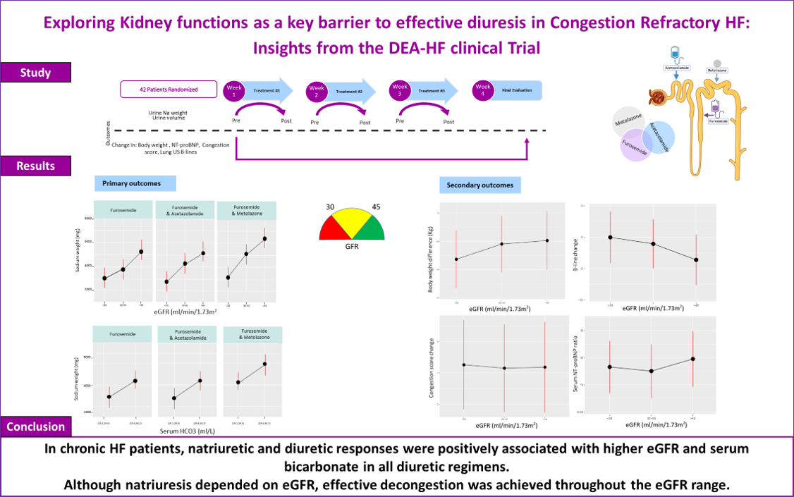 Graphical abstract
