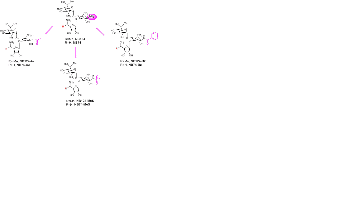 2,3,17,18-tetra CF3 Gold corrole complex for electrocatalysis