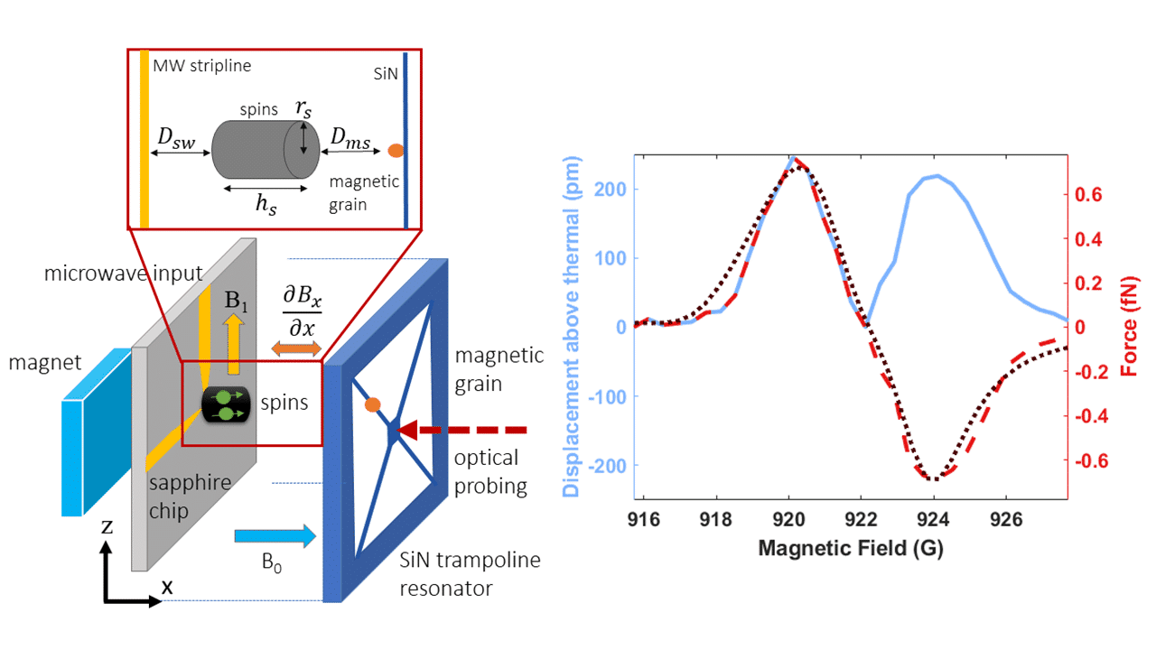 (left) Experimental setup for force sensing of electron spins in DPPH with a SiN trampoline resonator. (right) Magnetic field scan of an MRFM resonance. Blue, Calibrated displacement amplitude. Dashed red, analyzed magnetic force. Dotted black, fit to a magnetic force model.