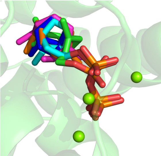 Simultaneous docking of substrate, intermediates, and product in an enzyme active site.