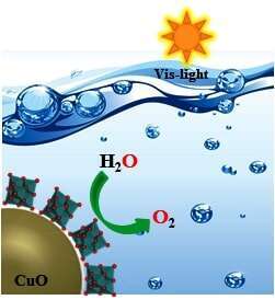 Figure 1. Visible-light driven water oxidation by the water soluble complex of tenorite. 