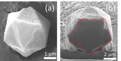 Scanning electron micrograph of polymerized icosahedra and its cross-sectional cut next to it