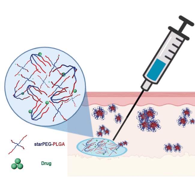 Schematic illustration of the delivery system: Upon injection, the liquid starPEG–PLGA/drug mixture self-assembles, encapsulating the drug within polymeric nanocarriers.