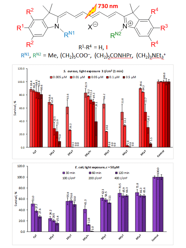 Survival of S. aureus and E.coli, when exposed to light vs the dye concentrations