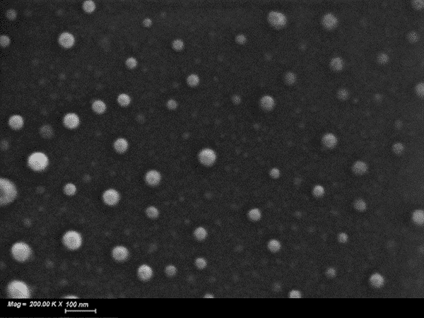 Figure 1. HR-SEM micrograph of CBD-loaded PEG-PCL nanoparticles.