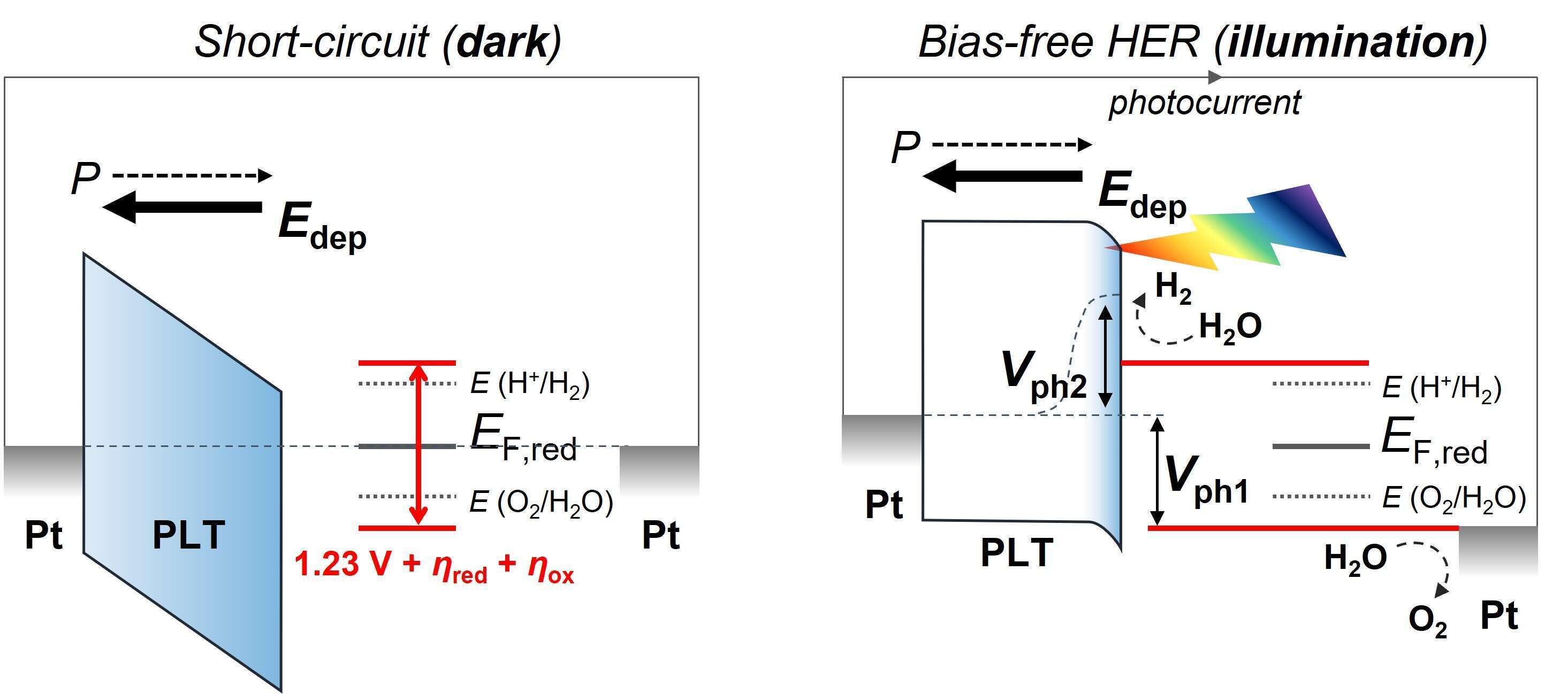 Schematics for a photocathode including an epitaxial PLT thin film as a photoactive material at an equilibrium state (left) and under a sufficient illumination (right). 