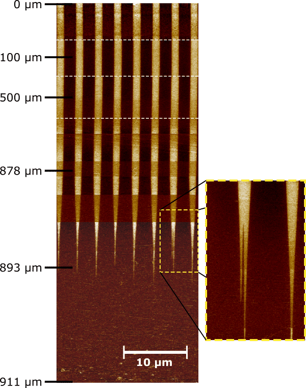 Stitched PFM images on the y-face of a poled crystal at different z-positions. The top of the image is at the c- polar surface, which has been periodically exchanged with Ba. The bottom of the image is at the c+ polar surface, which has been exchanged with Ba.