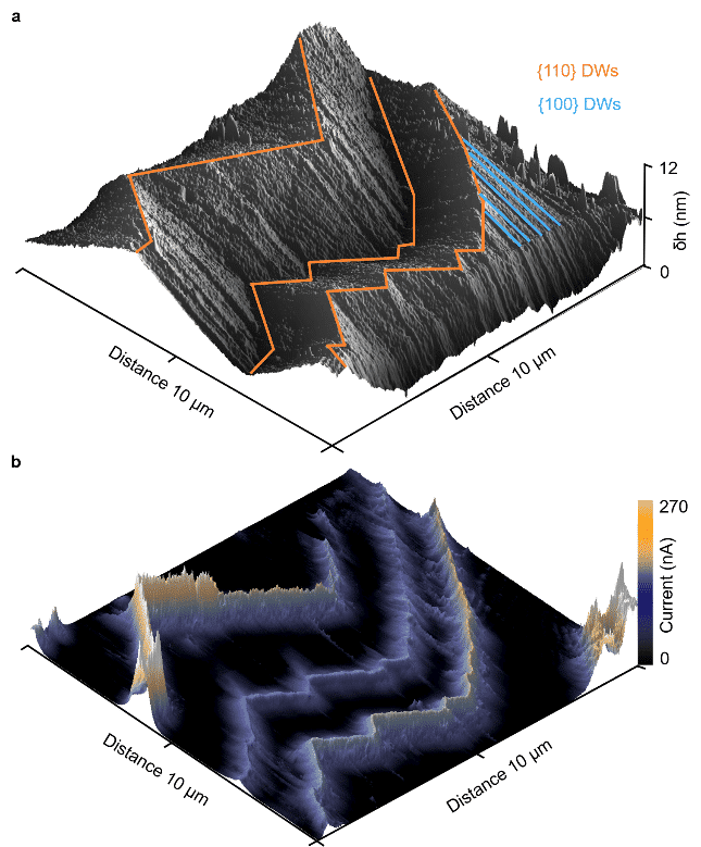 AFM topography scan and conductivity response