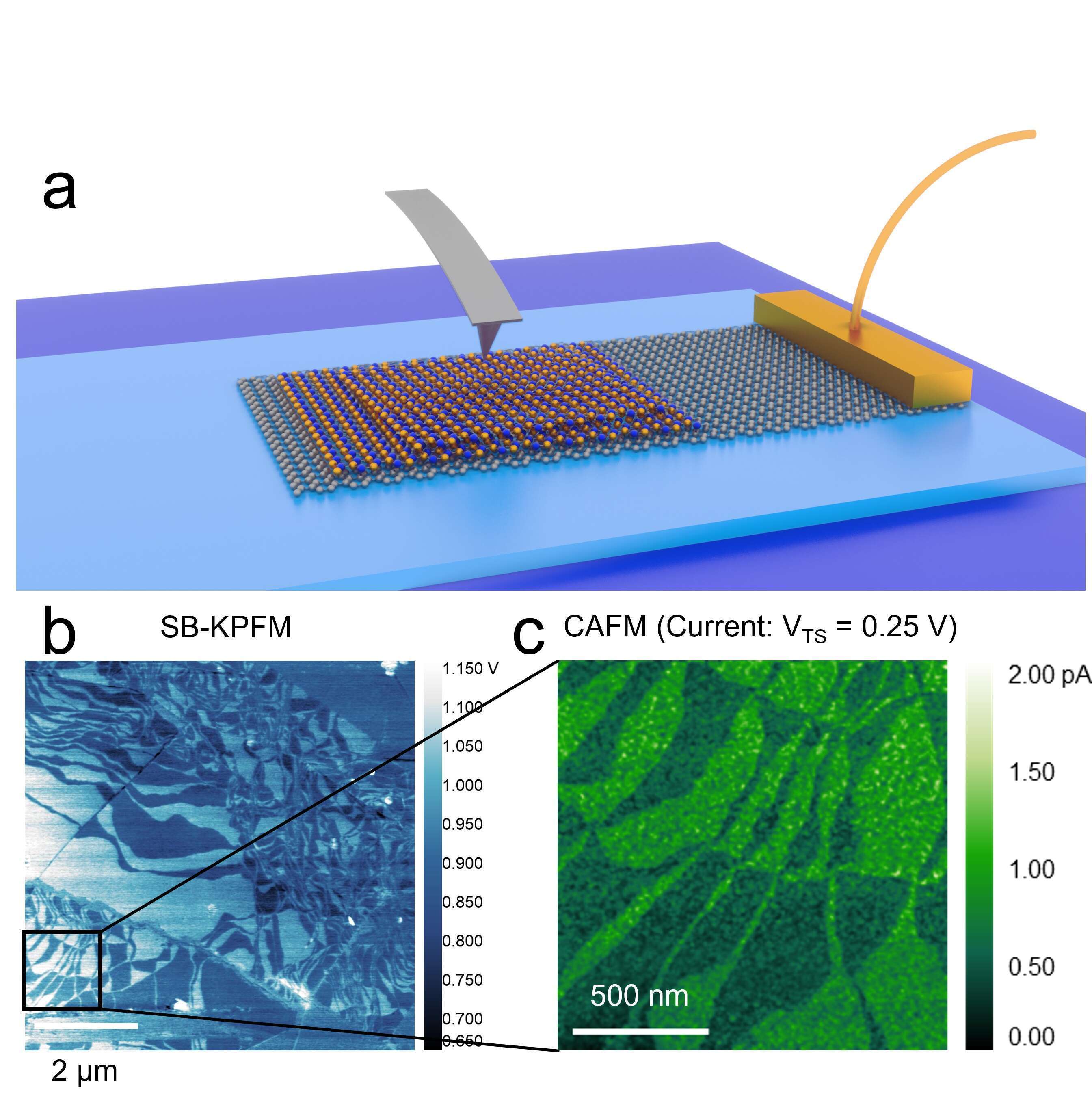 Fig. 1. Parallel stacked hBN may be formed by breaking and restacking exfoliated layers mechanically (a). Once formed, these structures may be characterised using KPFM to map the morphology of ferroelectric domains (b). For sufficiently thin layers (~0.6 nm), tunnelling current may be mapped using CAFM. 