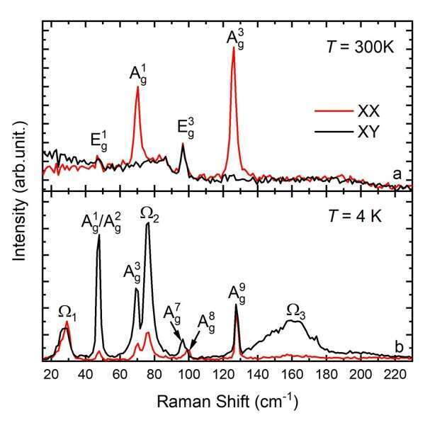 Polarized Raman spectra of VI3 taken at 300 K in the rhombohedral phase and at 4 K in the FM triclinic phase.