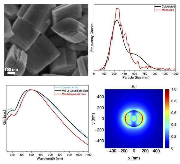 Morphology, calculated and experimental extinction and size distribution spectra, and near field calculation