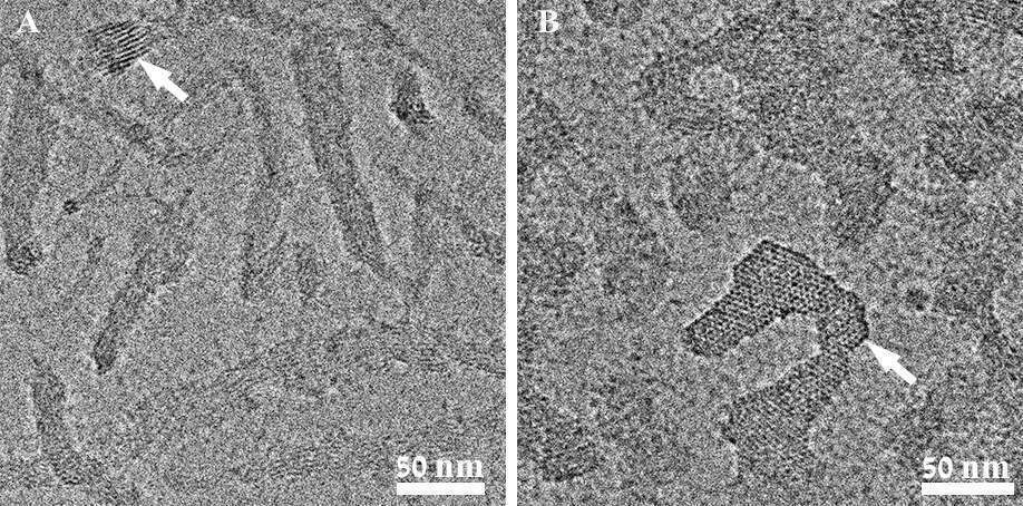 Complexes of QPDMAEMA-b-POEGMA with DNA: (A) Charge ratio of 0.5 shows lamellar structures (arrow); (B) Charge ratio of 4 shows hexagonal structures (arrow).