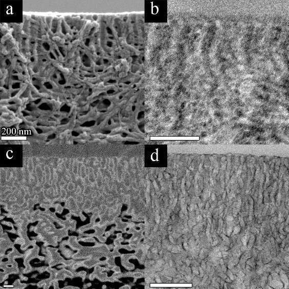 Figure 1 - Cross-sectional SEM (a,c) and TEM (b,d) images of: Pristine membrane (a,b) and membrane modified with AlOx by SIS (c,d).