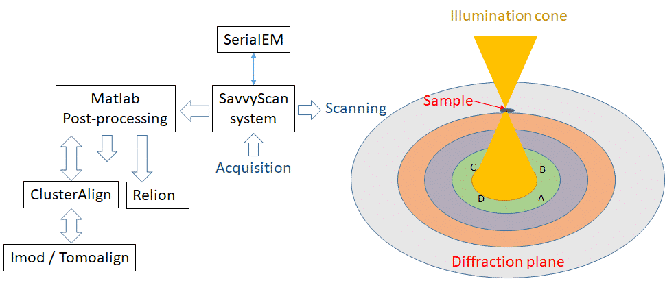 STEM sampling and processing techniques