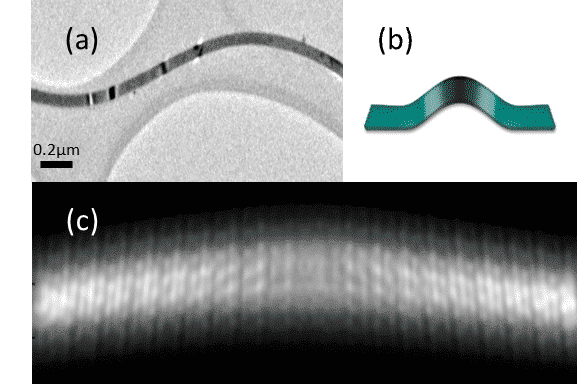 (a) A nanobelt containing several bend contours. (b) A sketcht of a buckled nanobelt. (c) QSTEM TEM image simulations of a bent nanobalt showing the effects seen in TEM micrographs of change in crystal fringes. 