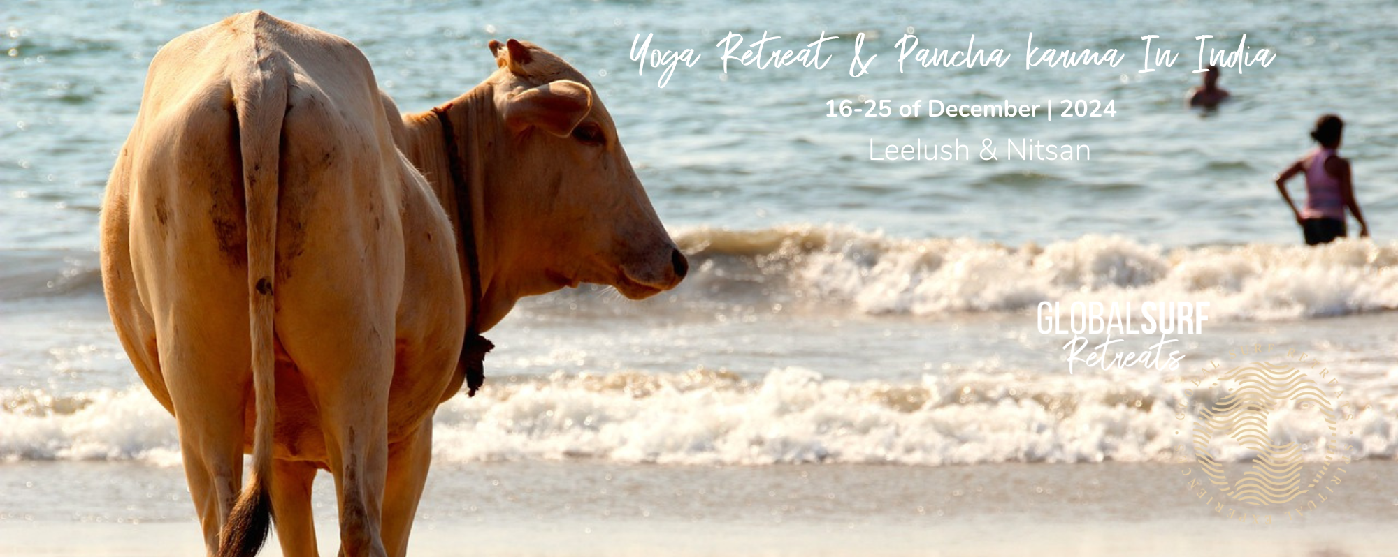 Yoga Retreat & Pancha karma In India | Leelush & Nit