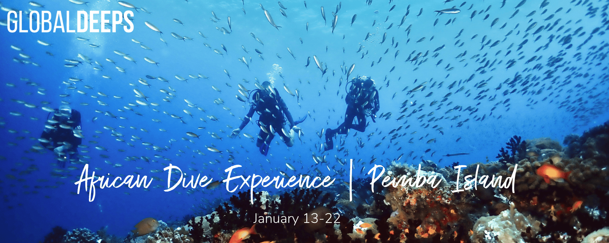 African Dive Experience | Pemba Island – January 13-