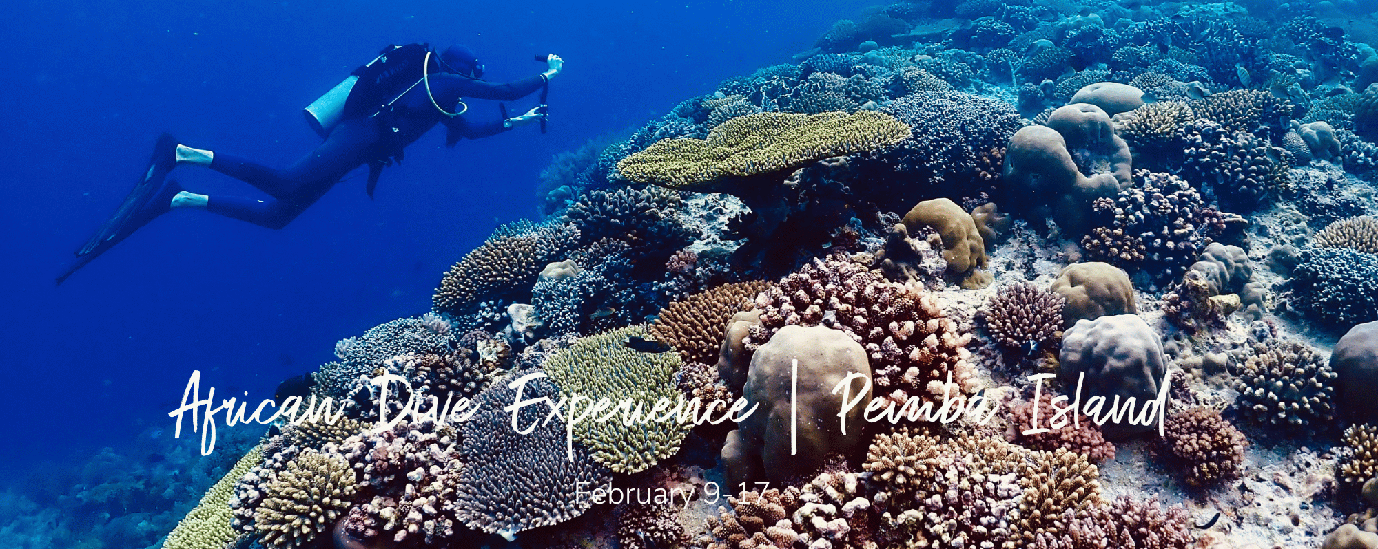 African Dive Experience | Pemba Island – February 9-