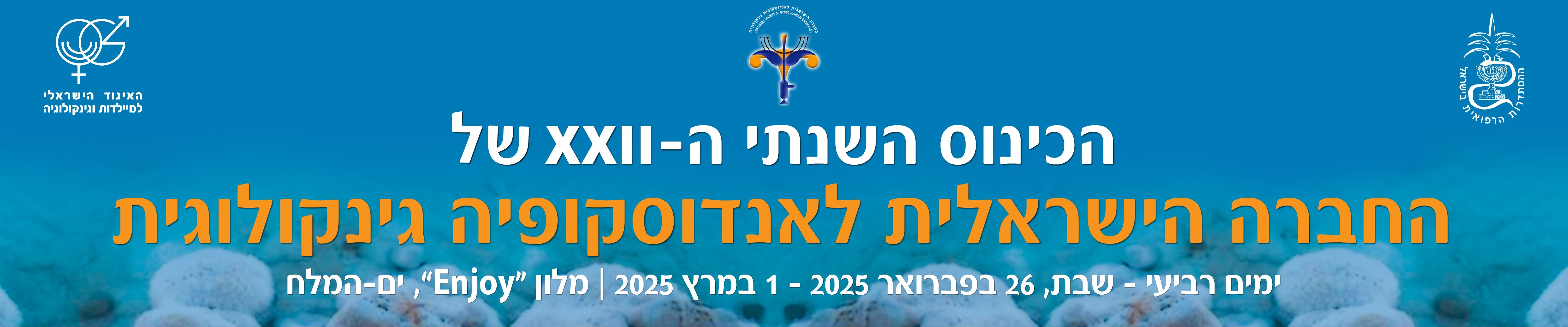 אנדוסקופיה גניקולוגית 2025